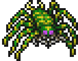 Tarantula
