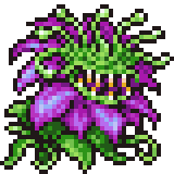 Devil's Bloom