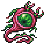 Parasite