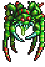 Tarantula