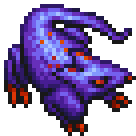 Giant Rat