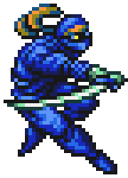 Ninja
