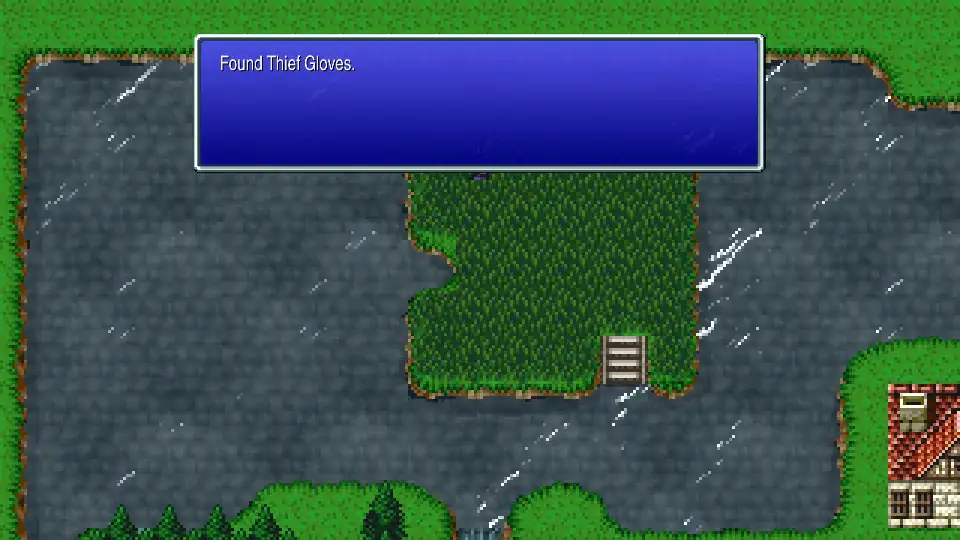 Thief Gloves - Amur grass island (45/76)