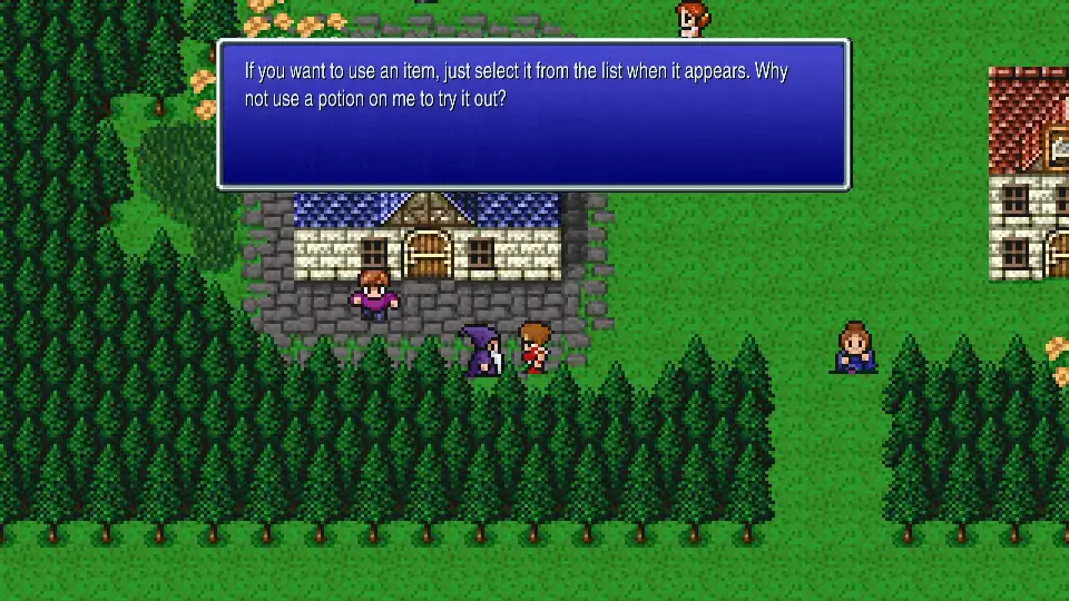 Giving a Potion to the old man in purple near the entrance of Ur to receive Echo Herbs