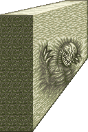 Demon Wall