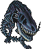 Bone Dragon